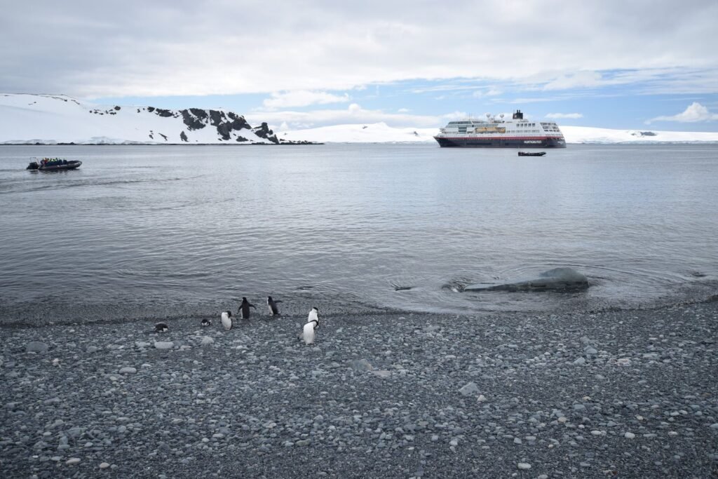 Two Monkeys Travel Honeymoon Cruise To Antarctica Antarctica Cruise Day 7e.jpg