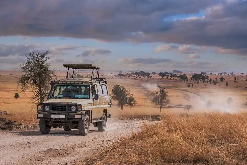 How To Plan A Safari In Africa In 2025